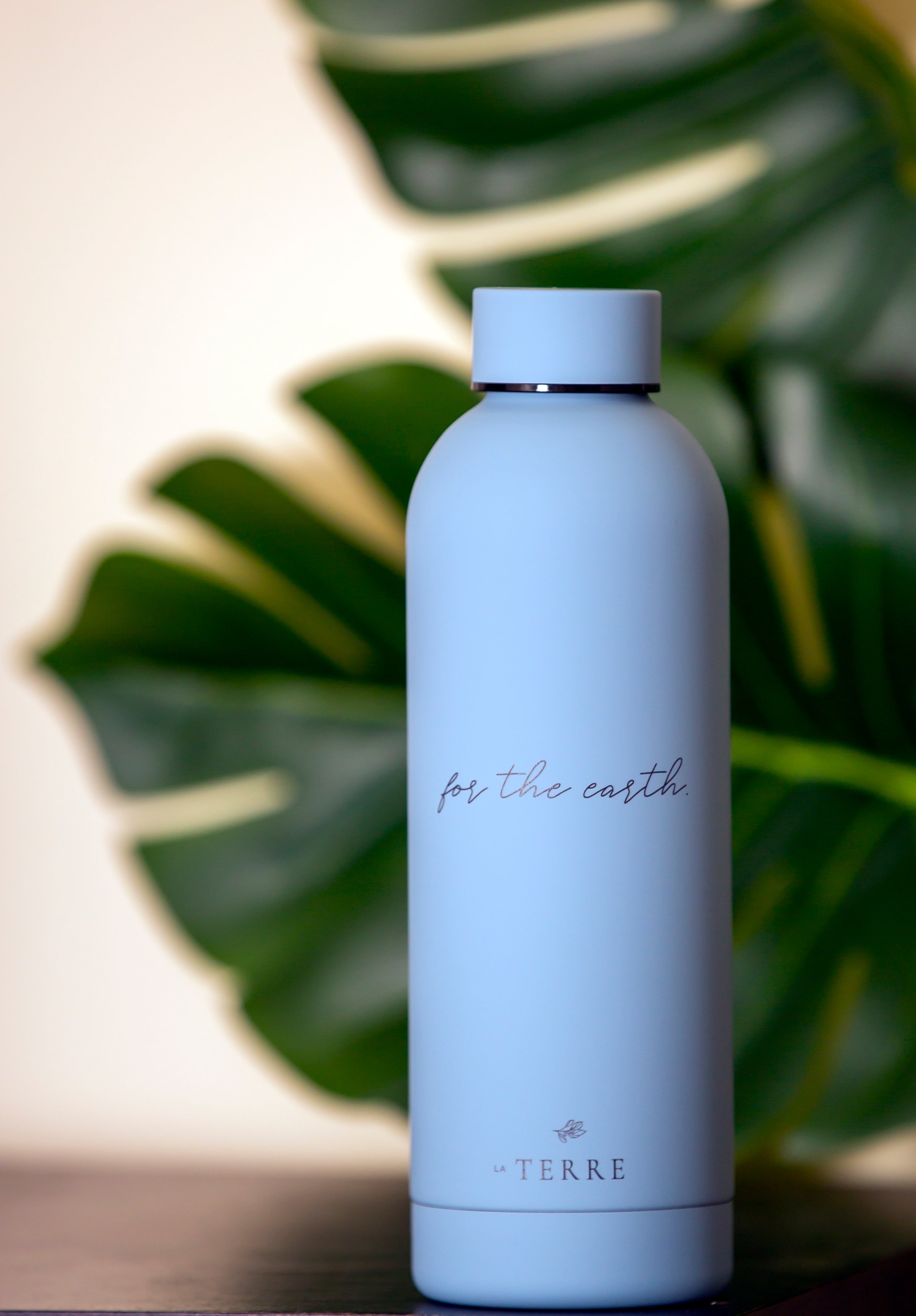 For the Earth - La Terre