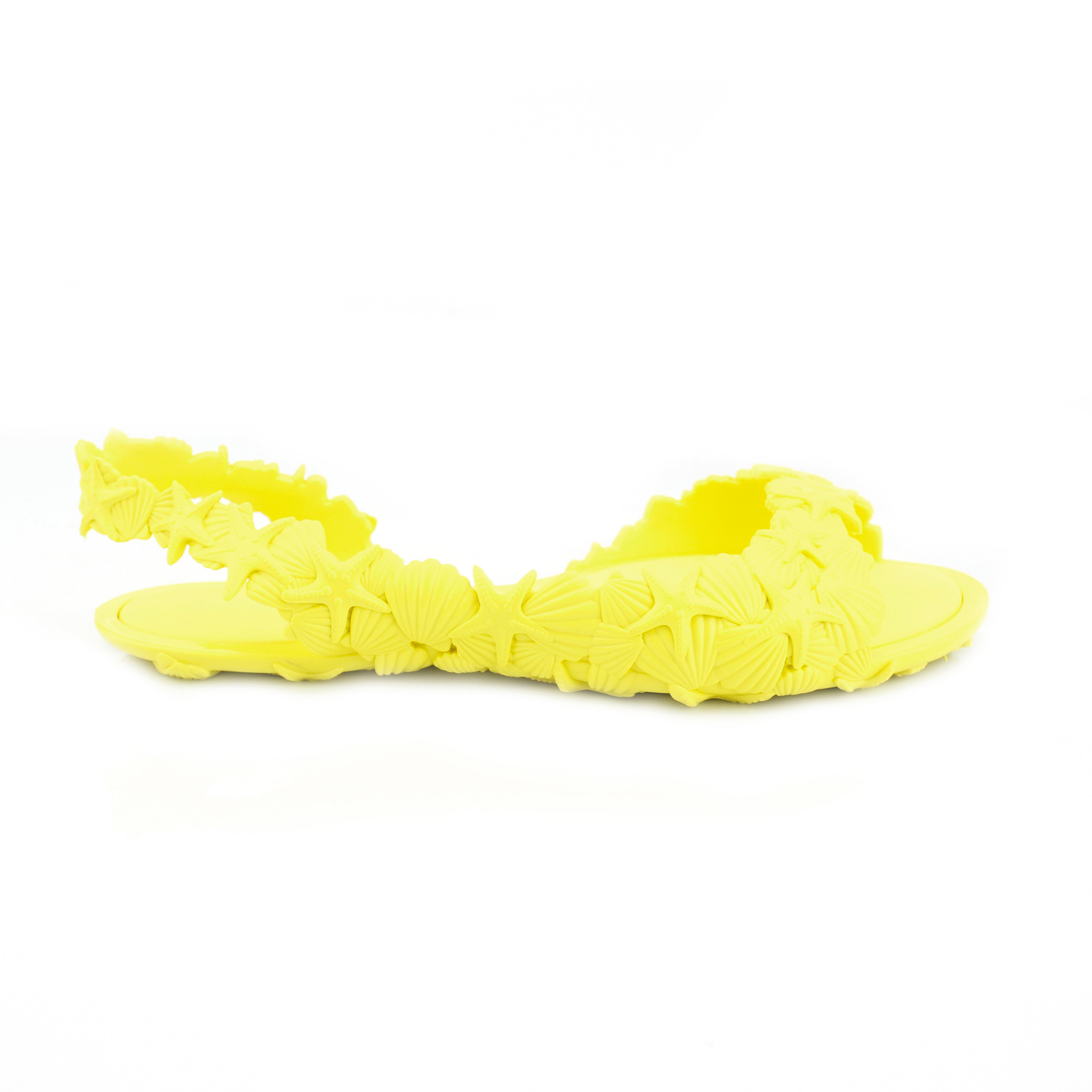 Yellow Sea & Ocean - Sunies