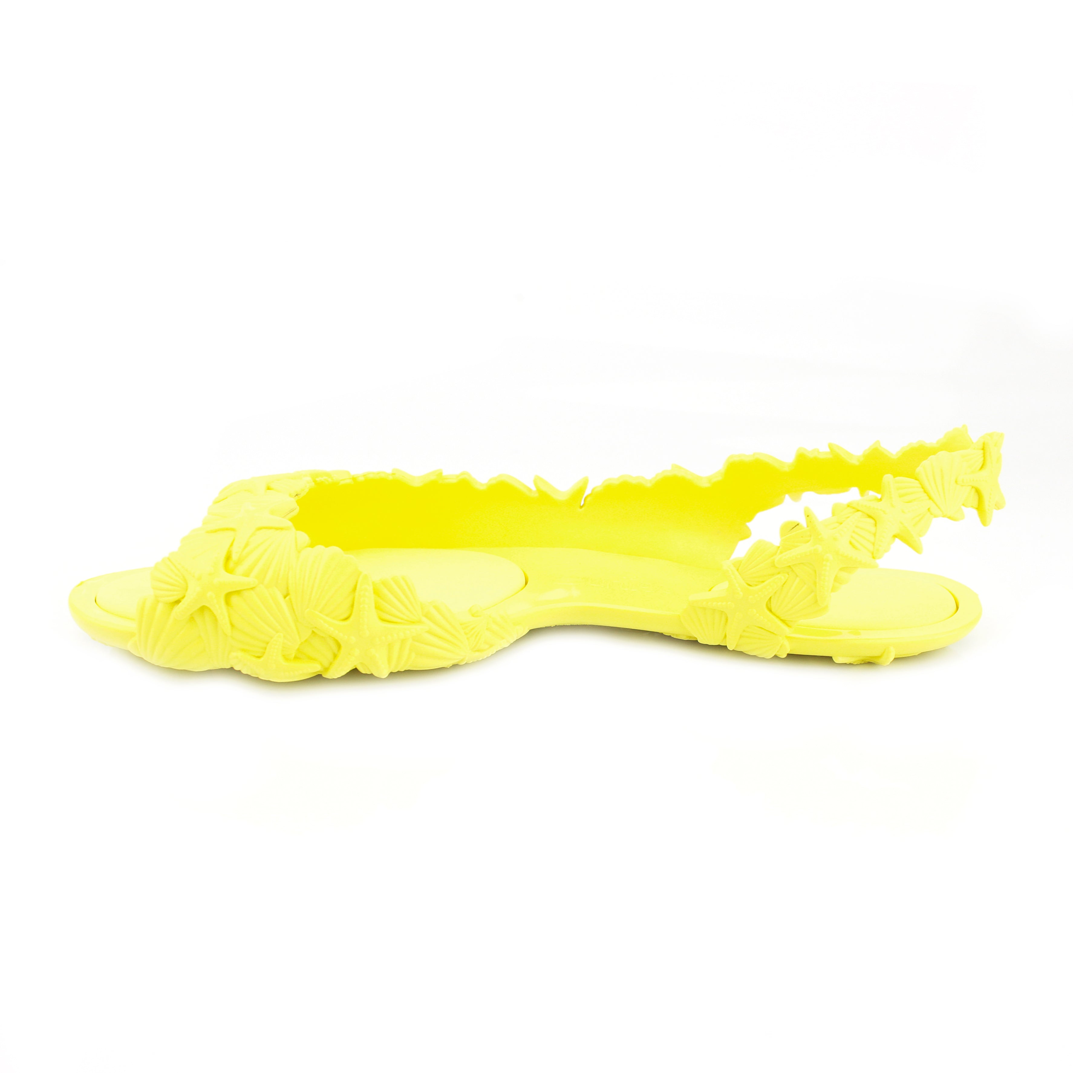 Yellow Sea & Ocean - Sunies
