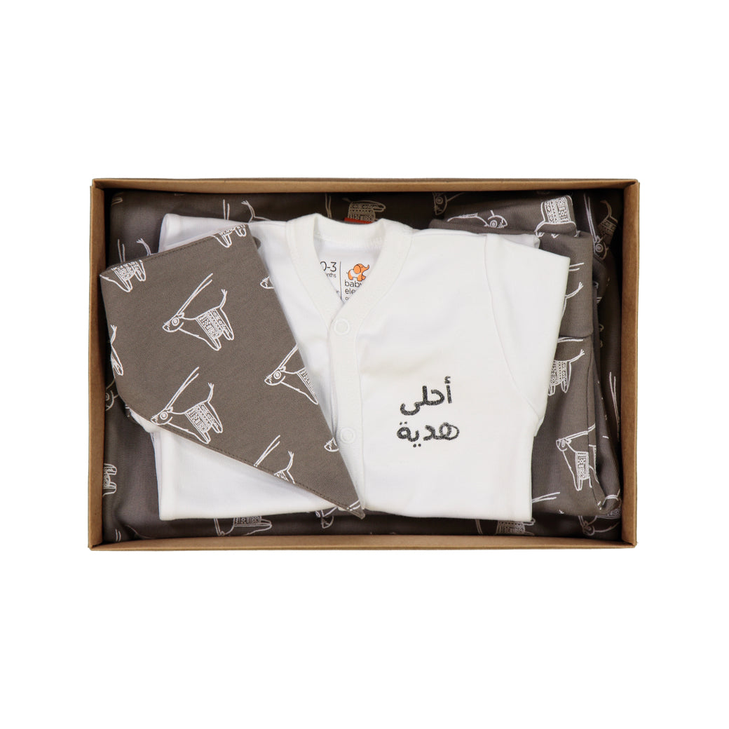 Organic 6-Piece baby set packed in a box - Baby Elephant Organic Wear