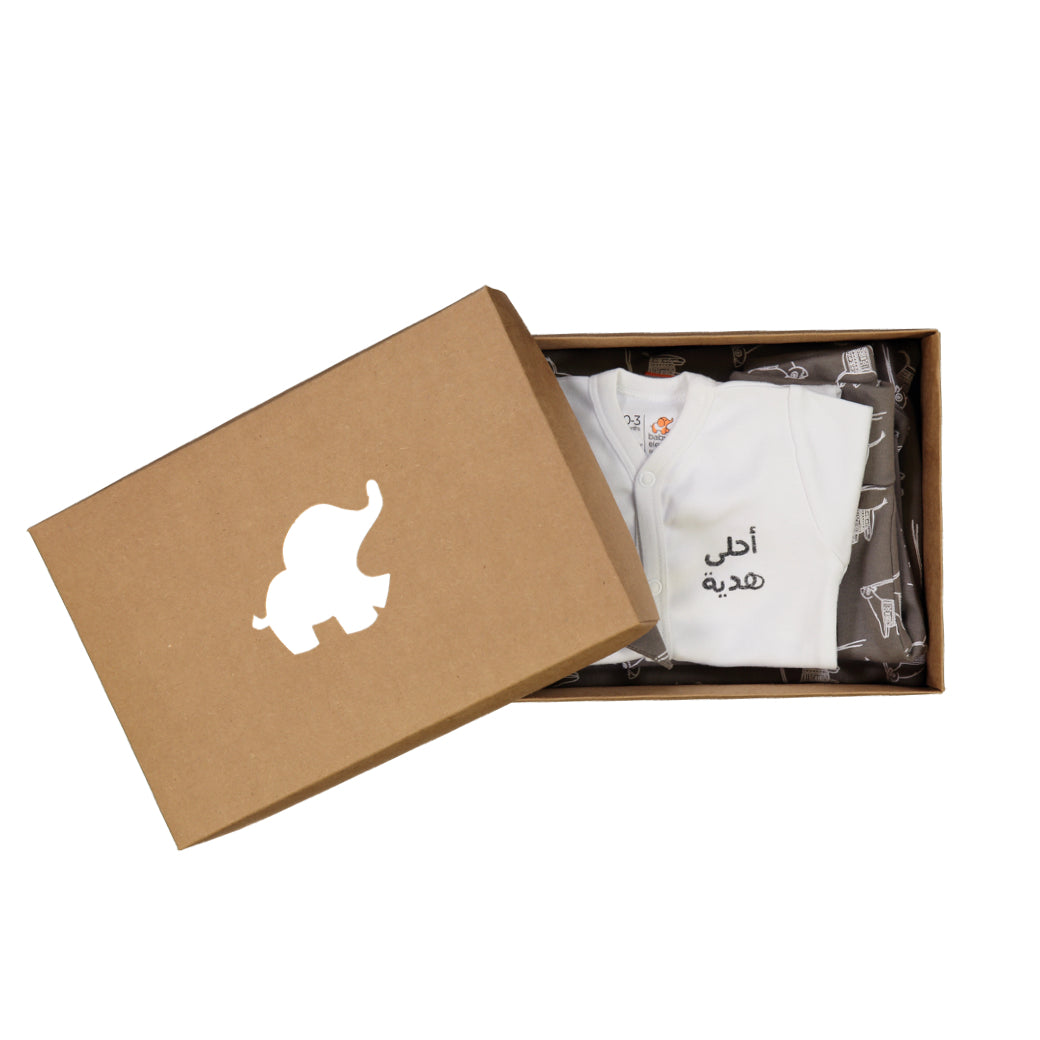 Organic 6-Piece baby set packed in a box - Baby Elephant Organic Wear
