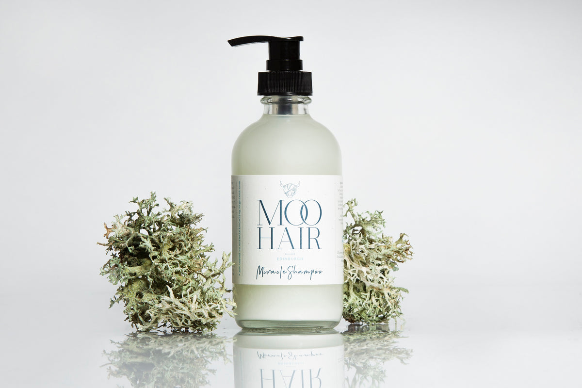 Edinburgh Miracle Shampoo - Moo Hair